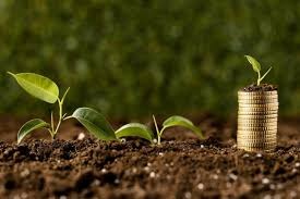 O que é bioeconomia?